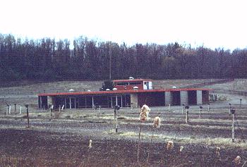 WINTER04.jpg 19.16 K